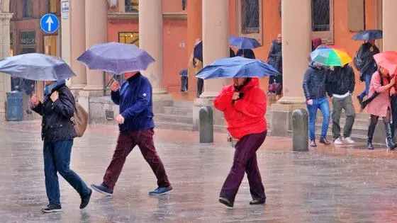 Persone si riparano dalla pioggia con ombrelli a Palermo, 11 febbraio 2024. ANSA/GIOVANNI FRANCO