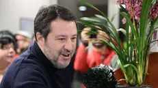 Foto Matteo Salvini oggi pomeriggio a Spoleto per appuntamento elettorale. Foto di Gianluigi Basilietti