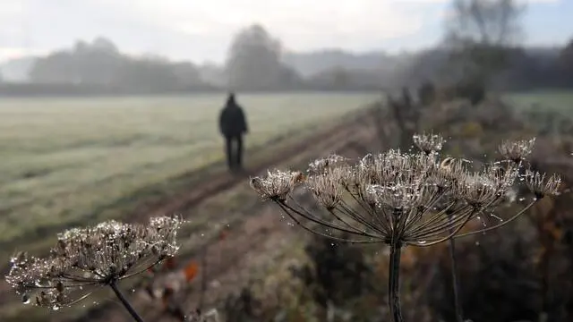 epaselect epa05010494 A woman walks along frost-covered fields near Sottrum, Germany, 04 November 2015. After a few days of fog, there is still water drops on the plants. EPA/INGO WAGNER