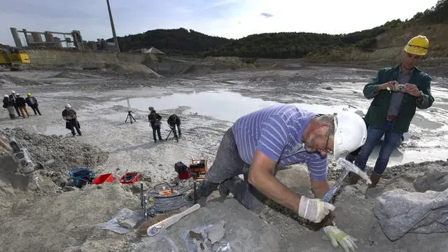 epa03404462 A workers is pictured at a site in the stone pit where a 13 meter fossil of a mosasaurus has been found, near Maastricht, the Netherlands, 20 September 2012. EPA/MARCEL VAN HOORN