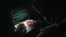 Un hacker informatico (foto simbolica)