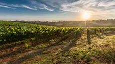 Uno scorcio della Franciacorta - © www.giornaledibrescia.it