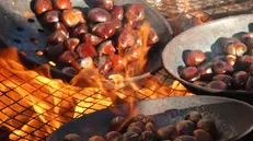 Castagne arrosto - © www.giornaledibrescia.it