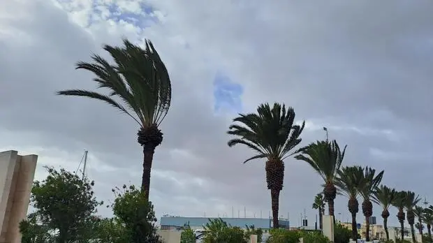 Via Roma e il porto di Cagliari durante la bufera di maestrale in Sardegna, 22 dicembre 2023. ANSA/ ANDREA FRIGO