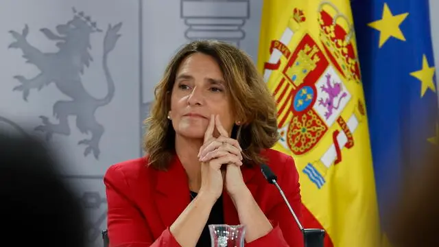 epa11622158 Spanish Minister for Ecological Transition and Demographic Challenge, and EU Commissioner-designate for Clean, Just and Competitive Transition Teresa Ribera, attends a press conference after the weekly Cabinet meeting of the Spanish Government, at La Moncloa Palace complex, in Madrid, Spain, 24 September 2024. EPA/Javier Lizon