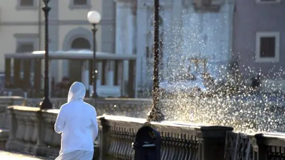 Il vento forte a Livorno, 22 ottobre 2014. Per il maltempo saltano le corse dei traghetti per Capraia da Livorno e per l'isola d'Elba da Piombino. E' stata sospesa la corsa del traghetto Toremar 'Liburna' in partenza alle 7 di stamani per Capraia da Livorno a causa delle condizioni meteomarine proibitive. Sempre a causa delle condizioni meteomarine è stato sospeso anche da Piombino (Livorno) il collegamento con Rio Marina del traghetto Toremar 'Bellini'. Il bollettino meteo, in peggioramento per le prossime 12 ore, per il quadrante tirrenico di Livorno parla di forti raffiche di libeccio e di mare forza 9. ANSA/FRANCO SILVI