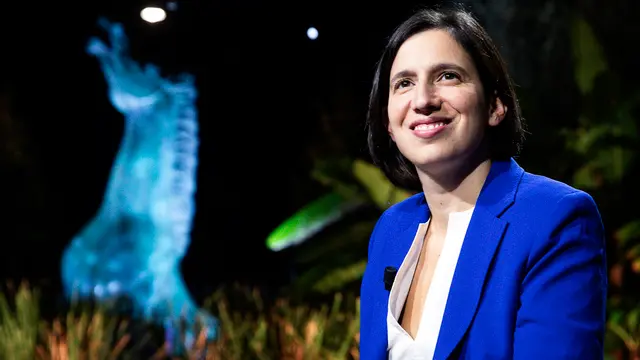 La segretaria del Partito Democratico (Pd) Elly Schlein durante la trasmissione Rai, Il Cavallo e la Torre, condotta da Marco Damilano, Roma, 19 novembre 2024. ANSA/ANGELO CARCONI