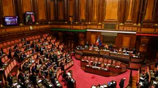 L aula di Palazzo Madama durante la votazione degli emendamenti in Senato sulla riforma del Codice della Strada, Roma, 20 novembre 2024. ANSA/RICCARDO ANTIMIANI