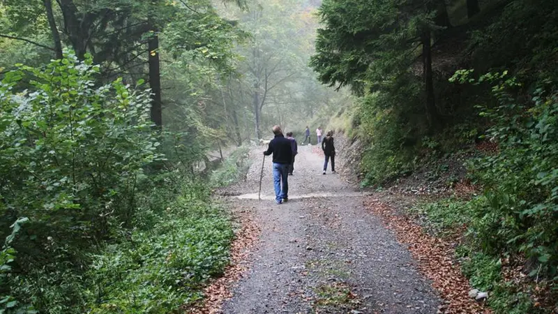 Sentieri, mulattiere e strade forestali