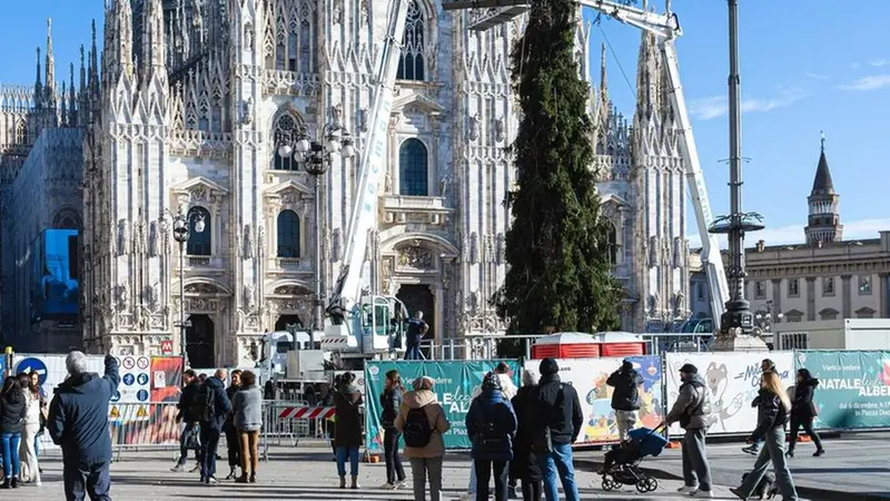 L'abete di Ponte di Legno in piazza Duomo a Milano - © www.giornaledibrescia.it