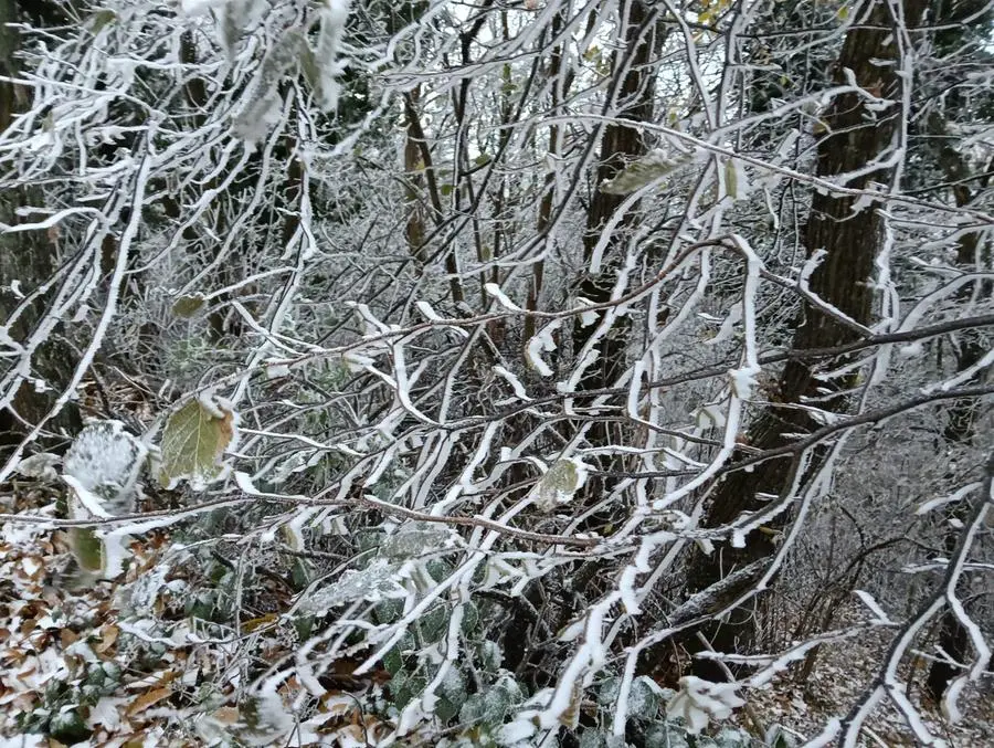 La prima lieve nevicata in Maddalena