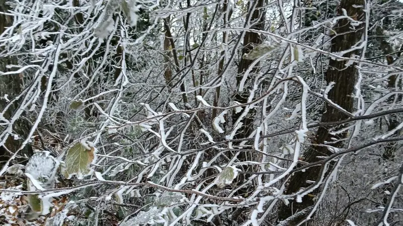 La prima lieve nevicata in Maddalena