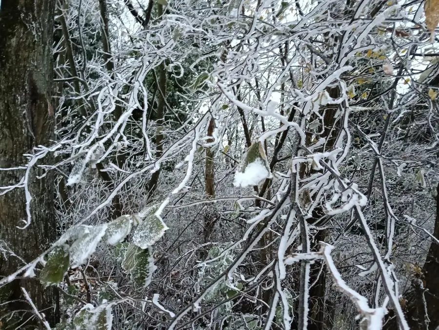 La prima lieve nevicata in Maddalena