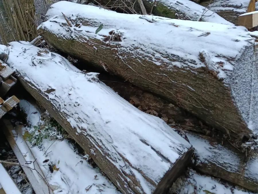 La prima lieve nevicata in Maddalena