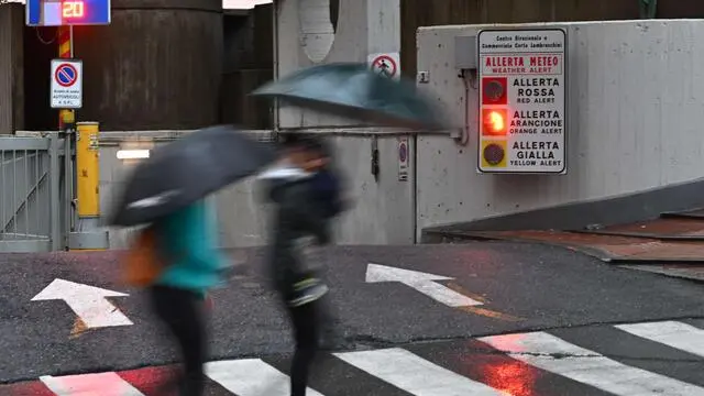 Piove forte a tratti, allagamenti diffusi sul territorio ligure. Scuole chiuse in via precauzionale in molti comuni, allerta arancione nel centro della regione, mentre nel Tigullio e nello spezzino il livello di allerta erossa per i grandi bacini dell'Entella.e del Magra.Genova, 08 ottobre 2024. ANSA/LUCA ZENNARO