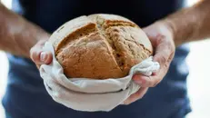 Il pane fresco verrà preparato da duecento fornai bresciani - Foto Unsplash © www.giornaledibrescia.it