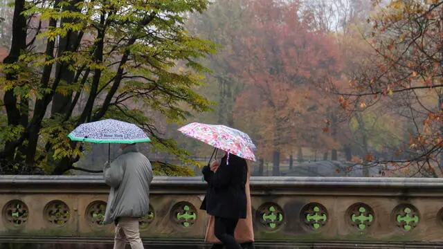 epa11733773 People walk in the rain with umbrellas at New York Central Park, New York, USA, 21 November 2024. New York City on 18 November issued its first drought warning in over two decades, following months of little rain. EPA/SARAH YENESEL