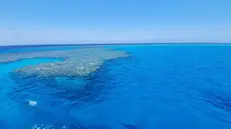 Immagine di repertorio del Mar Rosso nella zona a sud di Marsa Alam dove è oggi naufragato lo yacht turistico Sea Story, 30 Ottobre 2021. ANSA/Rodolfo Calò