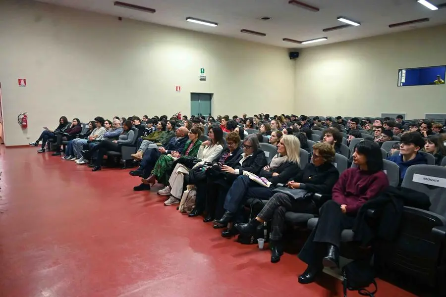 L'installazione il Muro delle Bambole