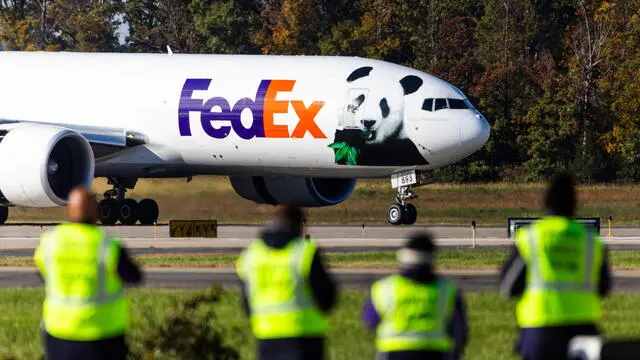 epaselect epa11660636 A special FedEx flight called the 'Panda Express' ferrying two giant pandas from China arrives at Dulles Airport in Dulles, Virginia, USA, 15 October 2024. The pandas, Bao Li and Qing Bao, are destined for DC's National Zoo, which sent back to China its last three pandas in November 2023. EPA/JIM LO SCALZO