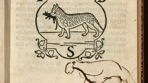 Un altro dettaglio del frontespizio