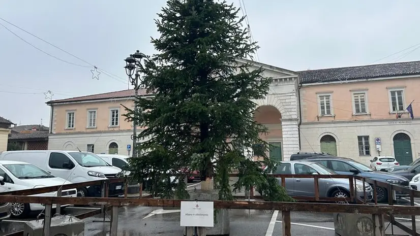 L'albero posizionato in piazza Vantini - © www.giornaledibrescia.it