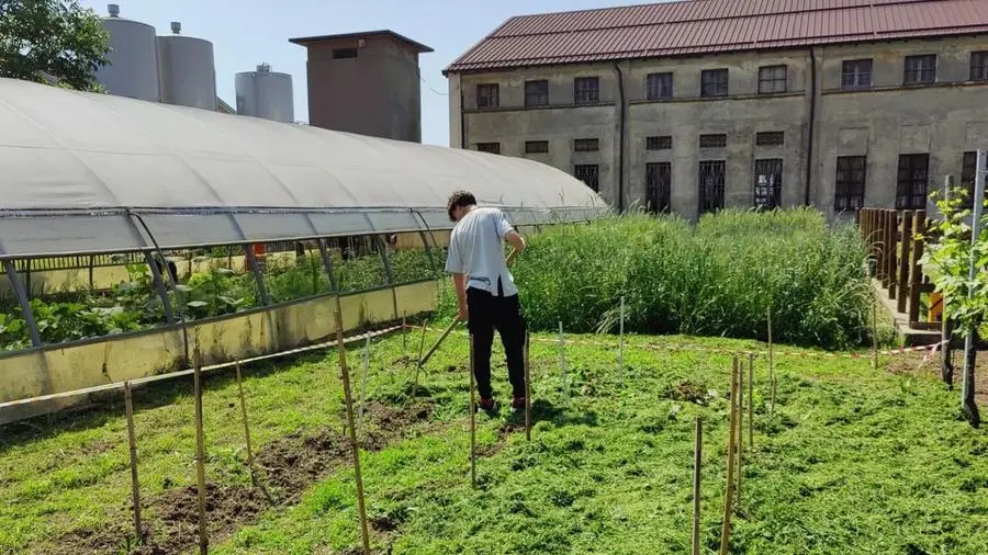 La scuola Giardino è chiusa da giorni per un cortocircuito © www.giornaledibrescia.it