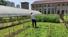 La scuola Giardino è chiusa da giorni per un cortocircuito © www.giornaledibrescia.it