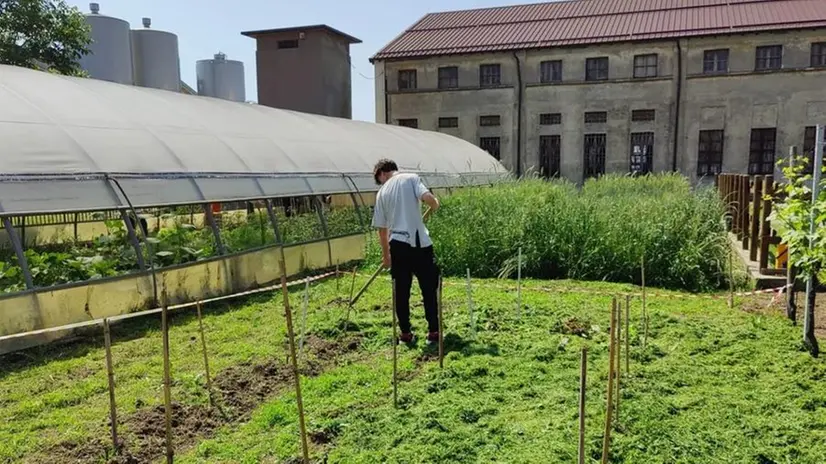 La scuola Giardino è chiusa da giorni per un cortocircuito © www.giornaledibrescia.it