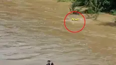 Frame di un video, girato da un passante anonimo dal ponte Romano, della tragedia del Natisone, in cui si vede il disperato tentativo di un vigile del fuoco di raggiungere i tre ragazzi stretti in un abbraccio al centro del fiume, il 31 maggio 2024. Nel filmato si vede il soccorritore nuotare con tutte le proprie forze a lato dei ragazzi per provare ad avvicinarsi ma, sebbene allenato a simili interventi, non riesce nell'intento e alla fine deve desistere per non rischiare di essere a propria volta travolto dalla furia del fiume. ANSA