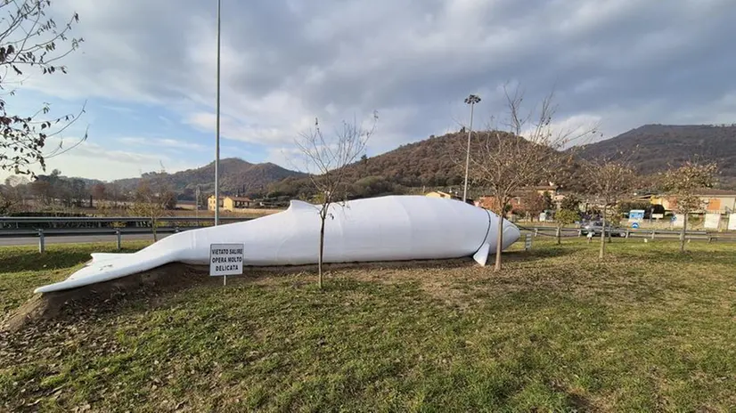 La balena di Ronco si tinge di bianco: un simbolo di mistero e sostenibilità - © www.giornaledibrescia.it