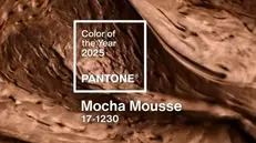 Il Pantone dell'anno 2025 - Foto Instagram