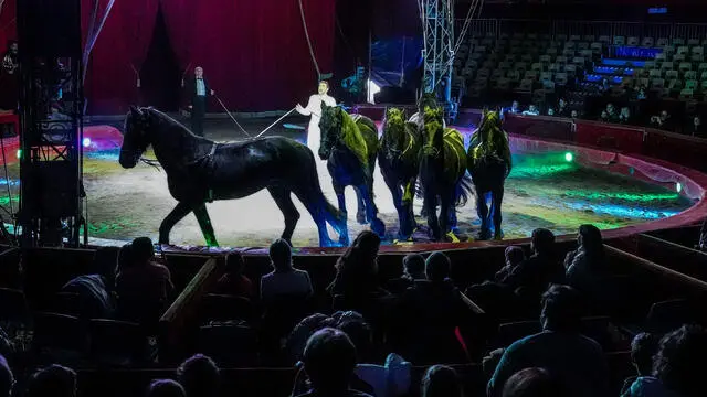 Un momento dello spettacolo dei cavalli del circo Madagascar di Torino, al parco della Pellerina, il 17 dicembre 2022 ANSA/JESSICA PASQUALON