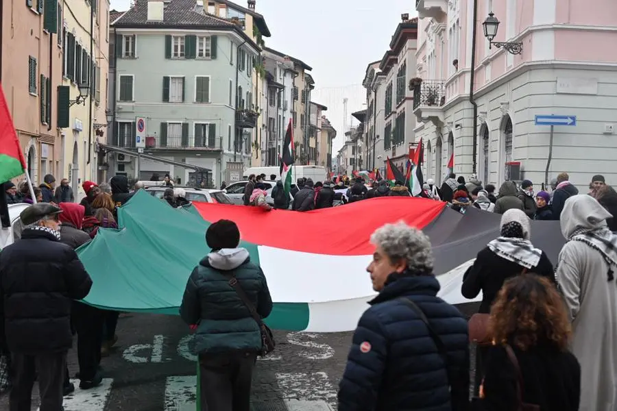 La manifestazione contro il Ddl sicurezza