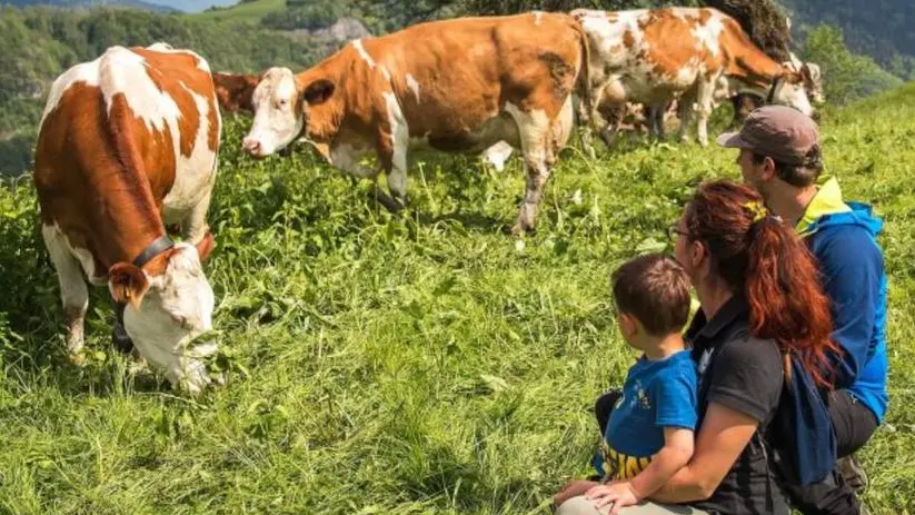 La Val Vestino è un territorio da vivere