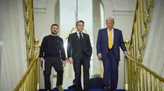 epa11763051 A handout picture made available by the Presidential Press Service of Ukraine shows (L-R) Ukrainian President Volodymyr Zelensky, French President Emmanuel Macron, and US President-elect Donald Trump during their meeting at the Elysee Palace, as part of ceremonies marking the reopening of the Notre Dame de Paris Cathedral, in Paris, France, 07 December 2024. The Notre Dame de Paris Cathedral reopens on 07 December after nearly six years of renovation work following its destruction by a fire on 15 April 2019. EPA/Presidential Press Service of Ukraine HANDOUT HANDOUT EDITORIAL USE ONLY/NO SALES