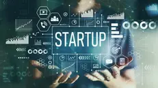 I finanziamenti alle startup italiane sono in crescita