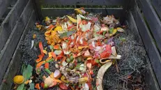 Un angolo per il compostaggio
