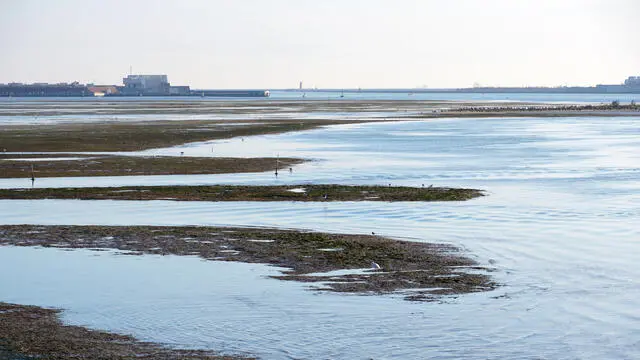 Una panoramica sul “Bacàn”, la striscia di sabbia emersa davanti l’isola di Sant’Erasmo, in direzione della bocca di portodi San Nicolò del Lido, Venezia 13 dicembre 2024: il mutamento direzionale delle correnti marine causato dall’attività del Mose (visibili sullo sfondo le centraline di comando delle barriere mobili) ha di fatto permesso la creazione di una striscia di terra asciutta là dove prima c’era solo acqua. ANSA/ANDREA MEROLA