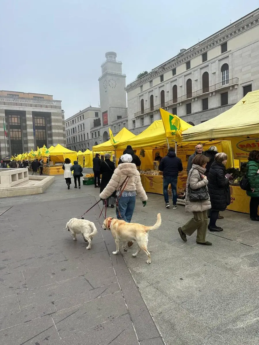 Il mercato Campagna Amica in piazza Vittoria