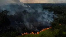 epa10846429 A picture taken with a drone shows one of the fires caused in the Amazon jungle, in the municipality of Manaquiri near Manaus, Amazonas state, Brazil, 07 September 2023. Fires in the Brazilian Amazon fell by 48 percent in August, compared to the same month in 2022, but shot up compared to July, according to the most recent data released by the government. EPA/Raphael Alves