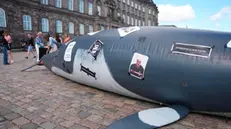 epa11546478 An inflatable whale with banners and photos is placed by activists during a protest organized by Alternative green political party in support for environmental activist Paul Watson at Christiansborg Slotsplads in Copenhagen, Denmark, 12 August 2024. Captain Paul Watson was arrested by Danish police on 21 July 2024 in Greenland, while he was making a stopover with his boat to refuel. Watson and his crew were heading to the North Pacific to stop the Japanese ship 'Kangei Maru' from killing whales. He is now in detention and risks being extradited to Japan, since it had issued in 2012 an arrest warrant against him for 'conspiracy to board'. EPA/EMIL HELMS DENMARK OUT