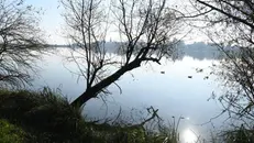 I laghi di Mantova