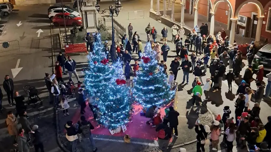 Il boschetto di Natale