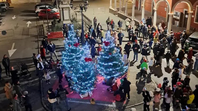 Il boschetto di Natale