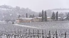 La Franciacorta sempre affascinante, ancora di più ricoperta di neve