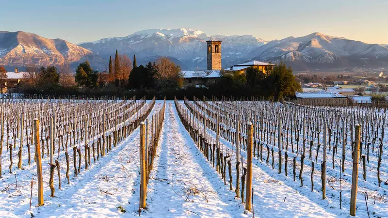Sentieri avvolti nella nebbia, che tagliano campi ricoperti di brina o leggermente imbiancati