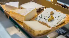 Una cheese box di Zona Alpi-La malga in città a Brescia