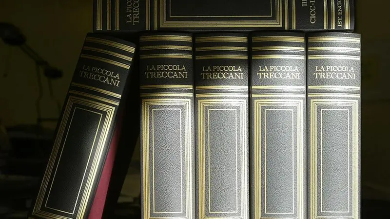 I volumi dell'Encicolpedia Treccani - © www.giornaledibrescia.it
