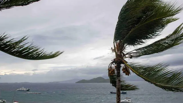 epa11778704 A handout photo made available by the French Army on 15 December 2024 shows trees blowing in storm winds in the French overseas territory of Mayotte. At least 14 people were killed and more than 200 injured after tropical cyclone Chido battered the French Indian Ocean territory of Mayotte on 14 December, authorities said. EPA/ETAT-MAJOR DES ARMEE HANDOUT -- BEST QUALITY AVAILABLE -- MANDATORY CREDIT: ETAT-MAJOR DES ARMEE -- HANDOUT EDITORIAL USE ONLY/NO SALES